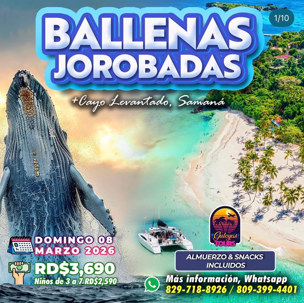 Ballenas Jorobadas + Cayo Levantado , Samaná