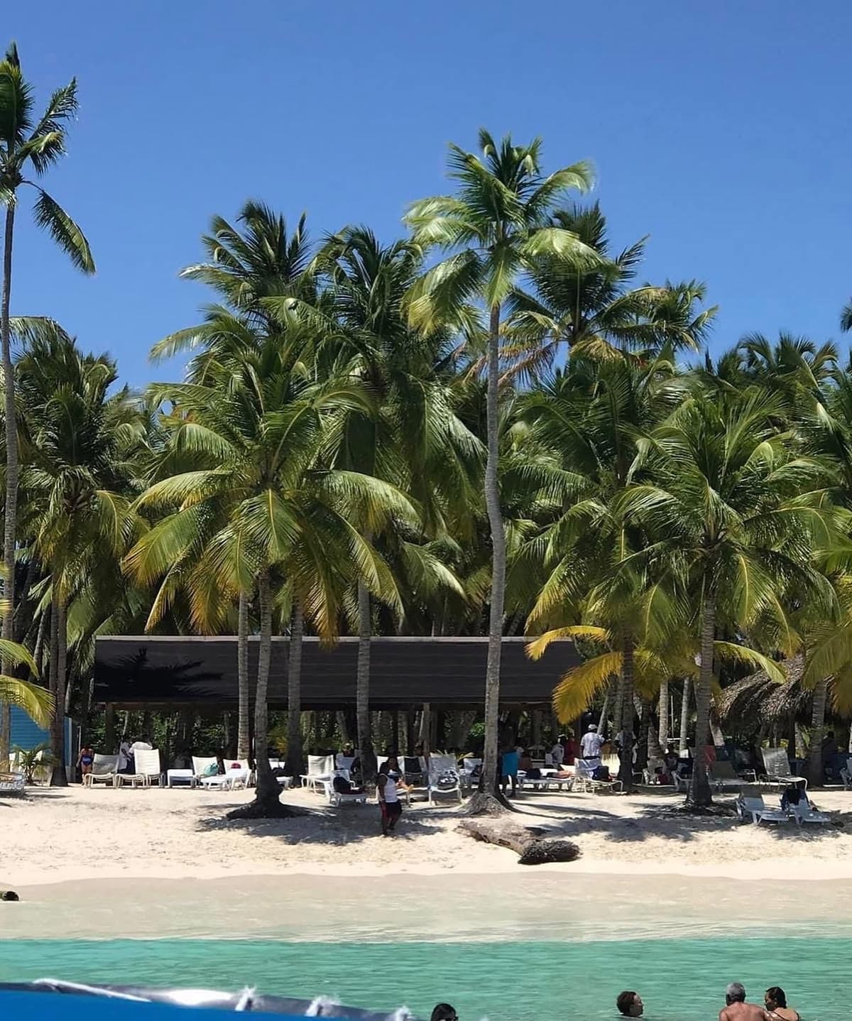Excursión Isla Saona VIP – 4 Playas desde Punta Cana (3/6)