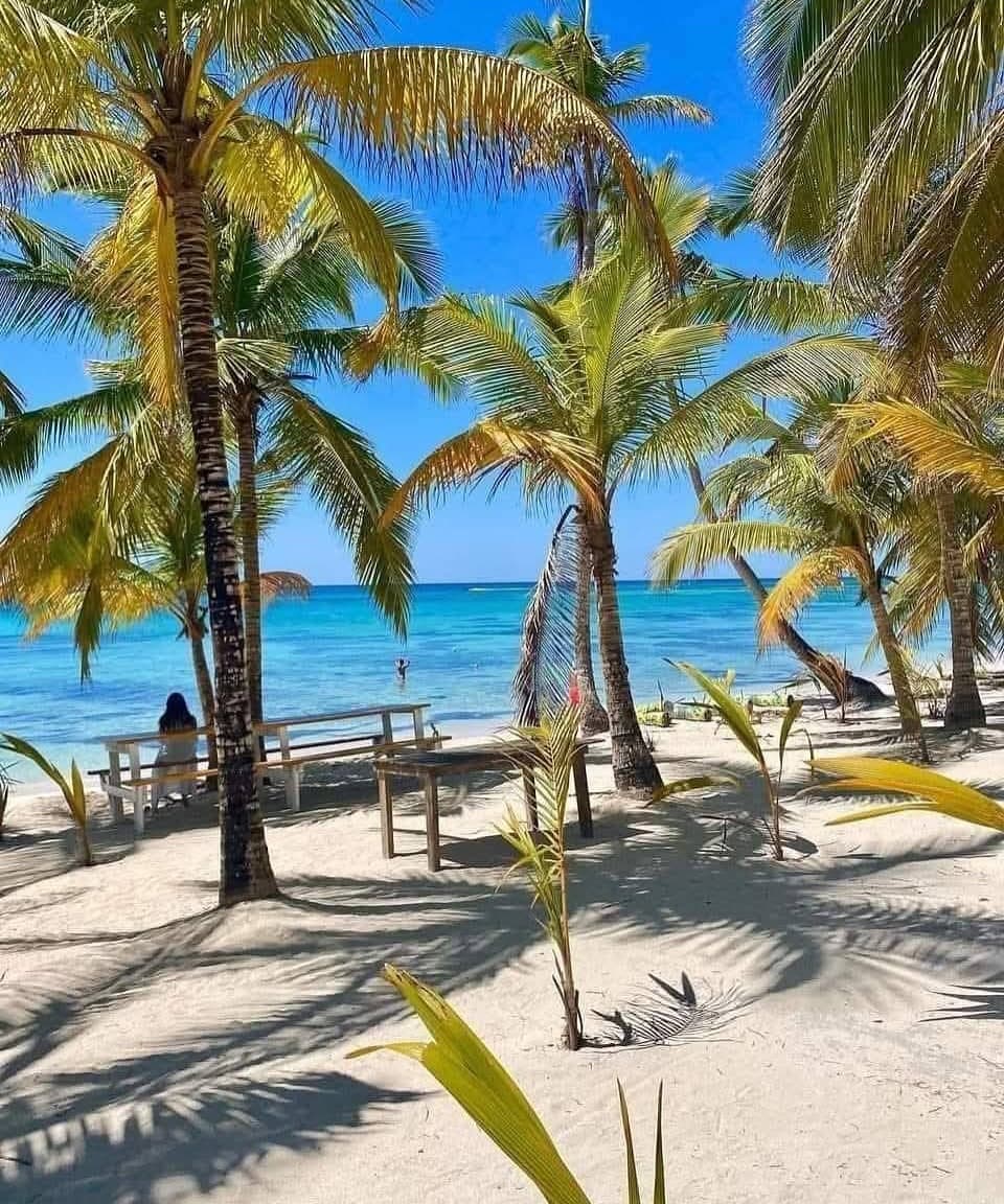 Excursión Isla Saona VIP – 4 Playas desde Punta Cana (4/6)