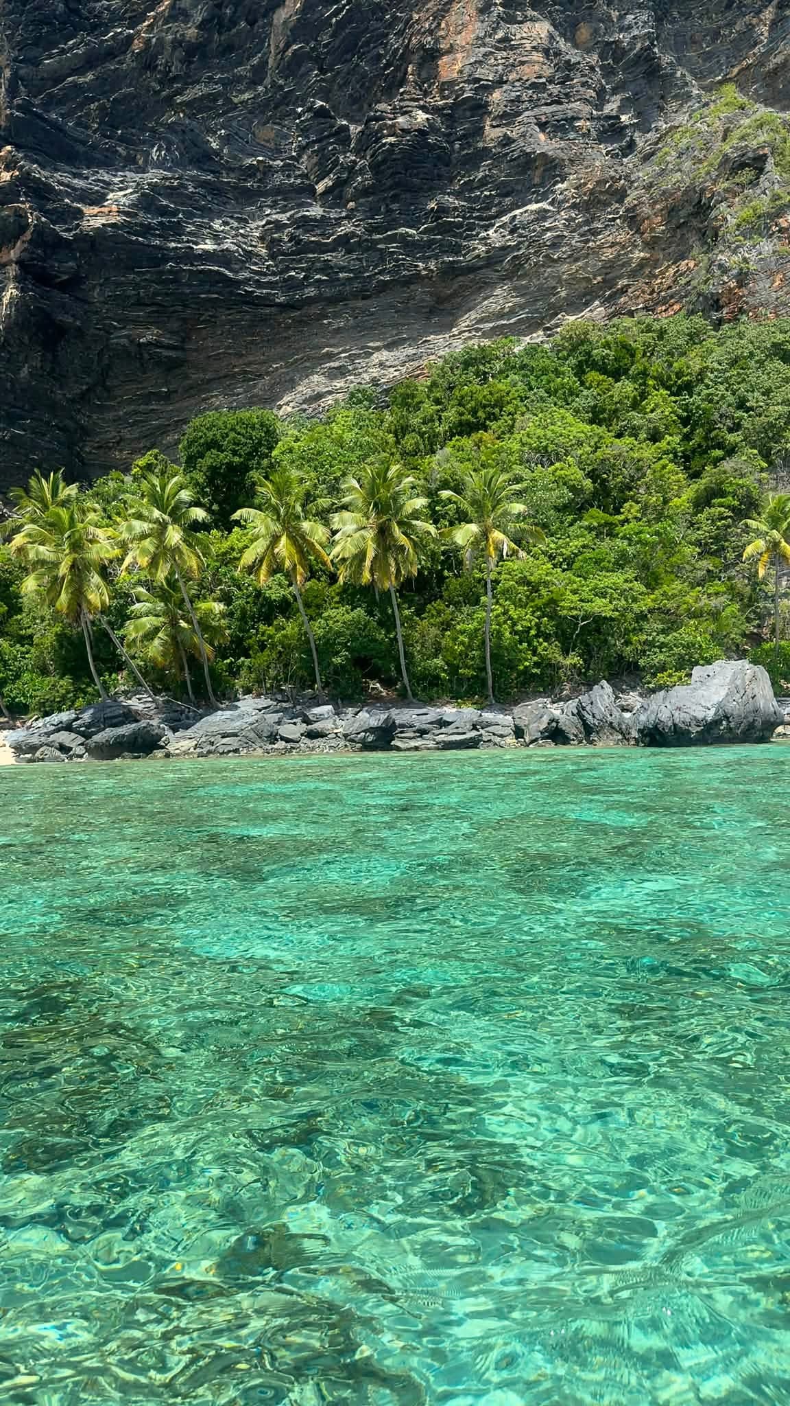 Excursión a Playa Frontón, Las Galeras, Samaná – Domingo 8 de noviembre 2026 (2/11)