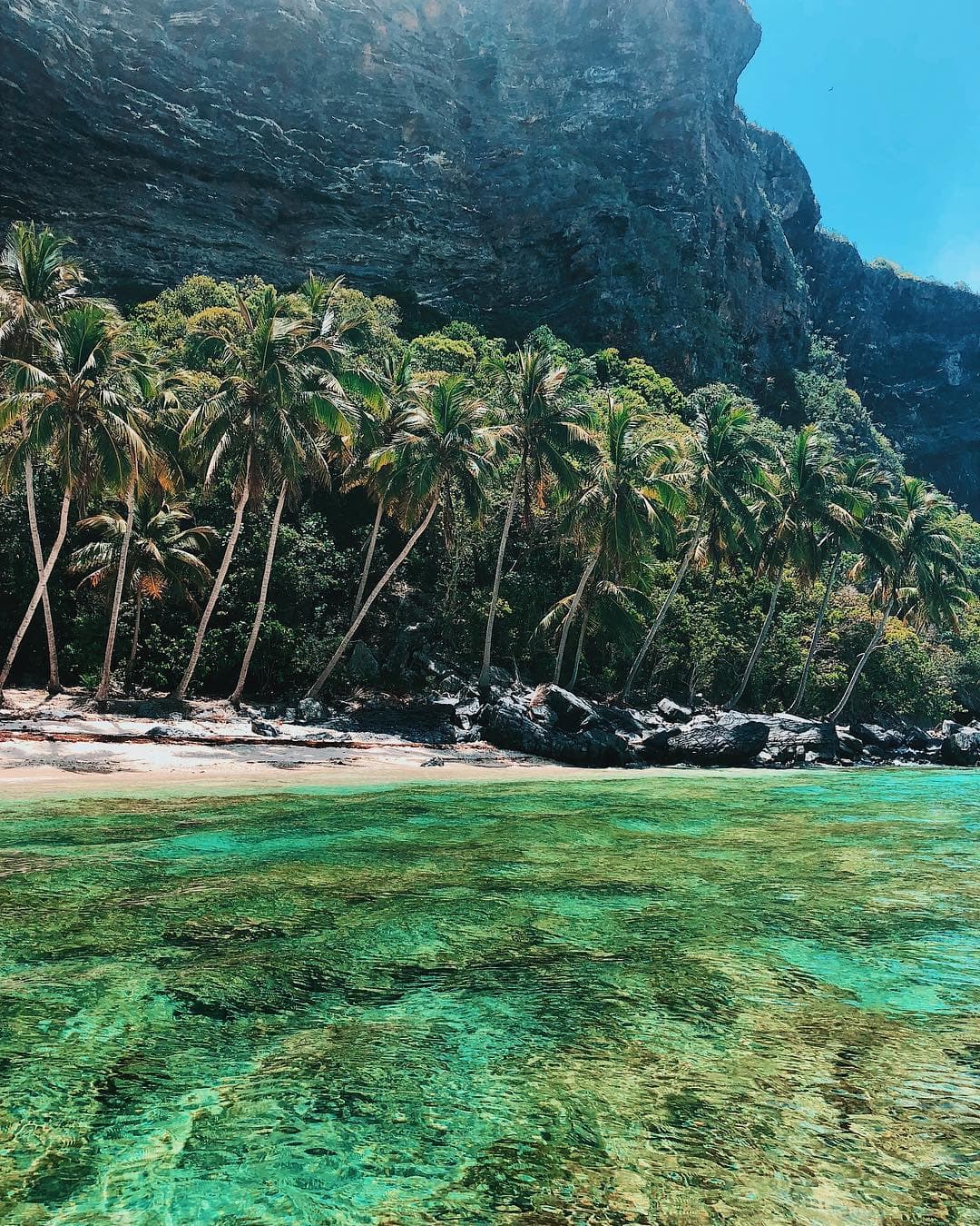 Excursión a Playa Frontón, Las Galeras, Samaná – Domingo 8 de noviembre 2026 (3/11)